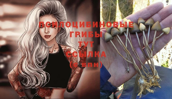 гашишное масло Абаза