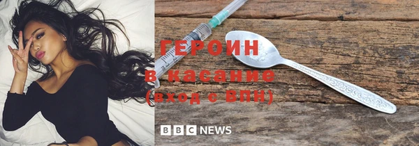 индика Протвино