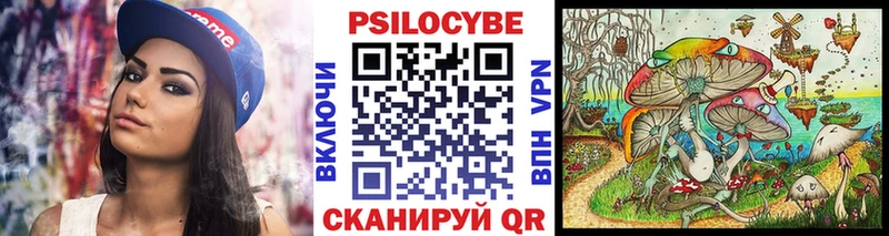 Галлюциногенные грибы MAGIC MUSHROOMS  мега рабочий сайт  Абаза  купить наркотики цена 